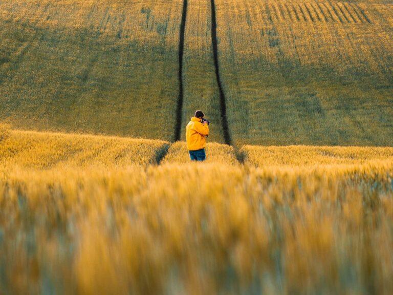 man standing in the middle of a golden yellow rapeseed field