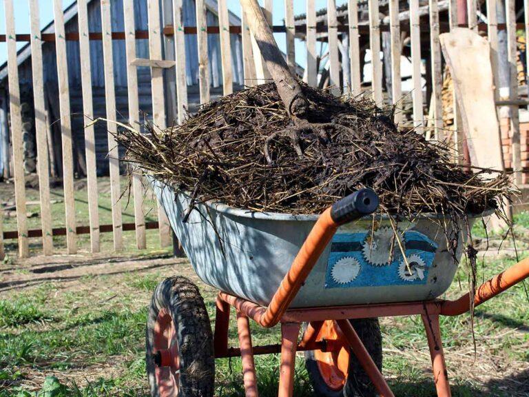 a wheelbarrow full of natural manure