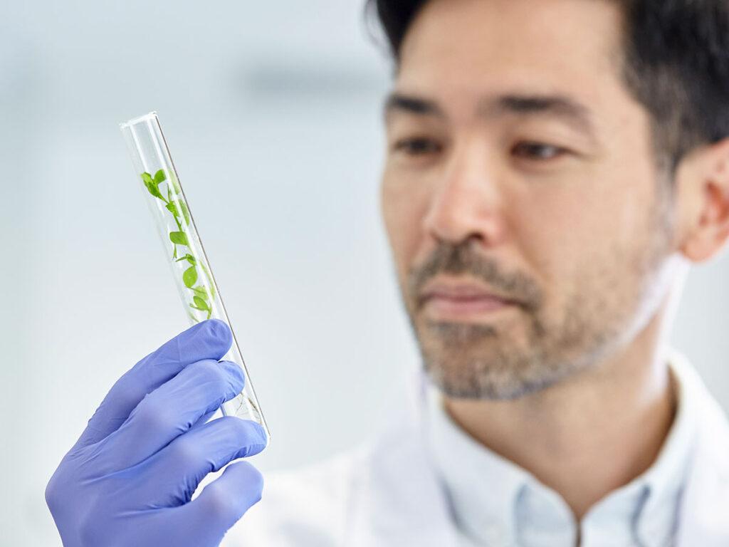 scientist holding a glass tube with a sprouting plant in it