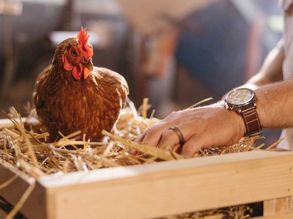 Learn how we deliver precise results with our modelling methodology for