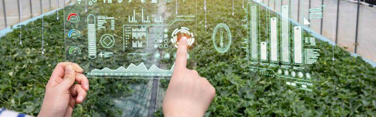 smart farming represented by dashboards over vegetables grown in a greenhouse