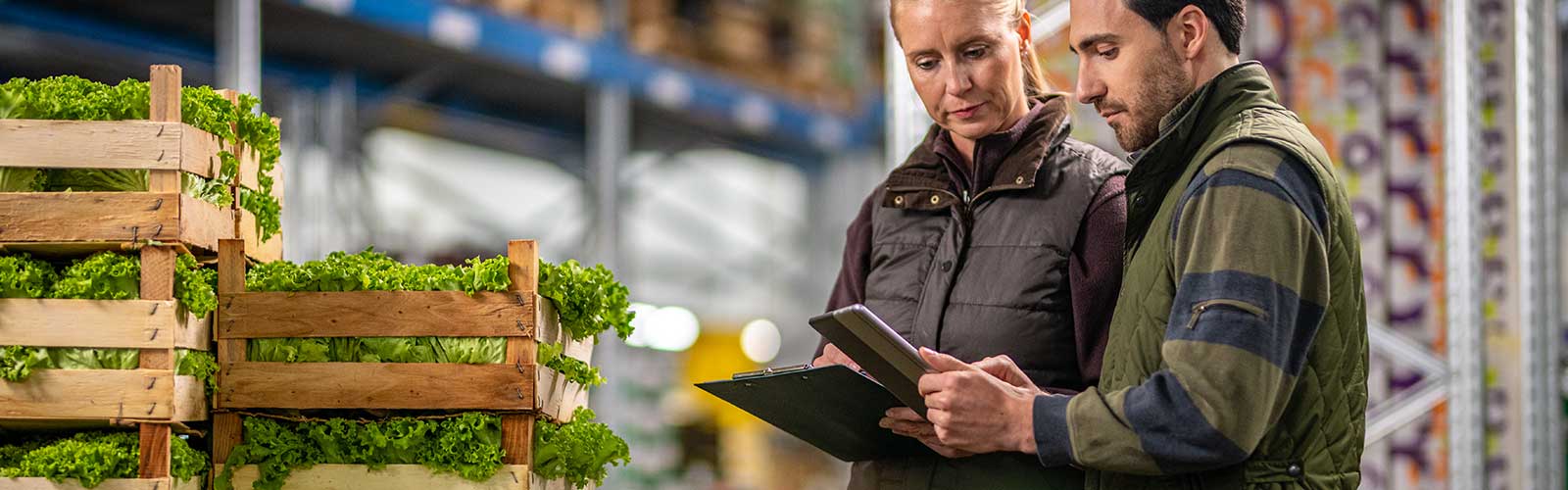 two people discussing purchasing fresh produce before distributing it to the retailers