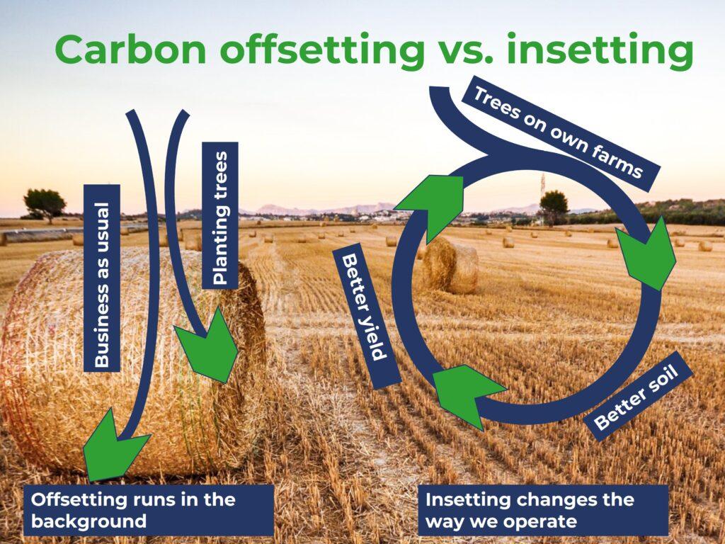 carbon insetting