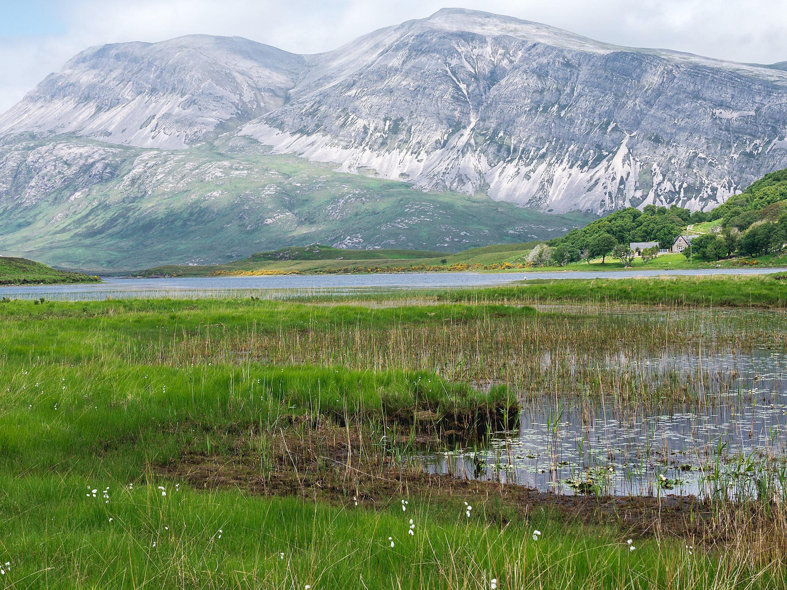 what is carbon sequestration in agriculture - peatlands