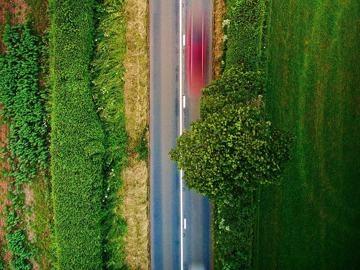 what is carbon sequestration in agriculture - hedges on side of the road