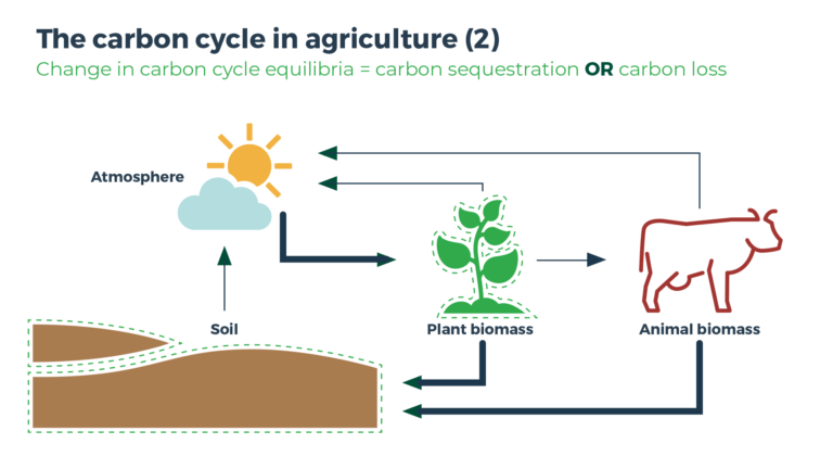 Agrecalc soil carbon guide explaining soil carbon sequestration