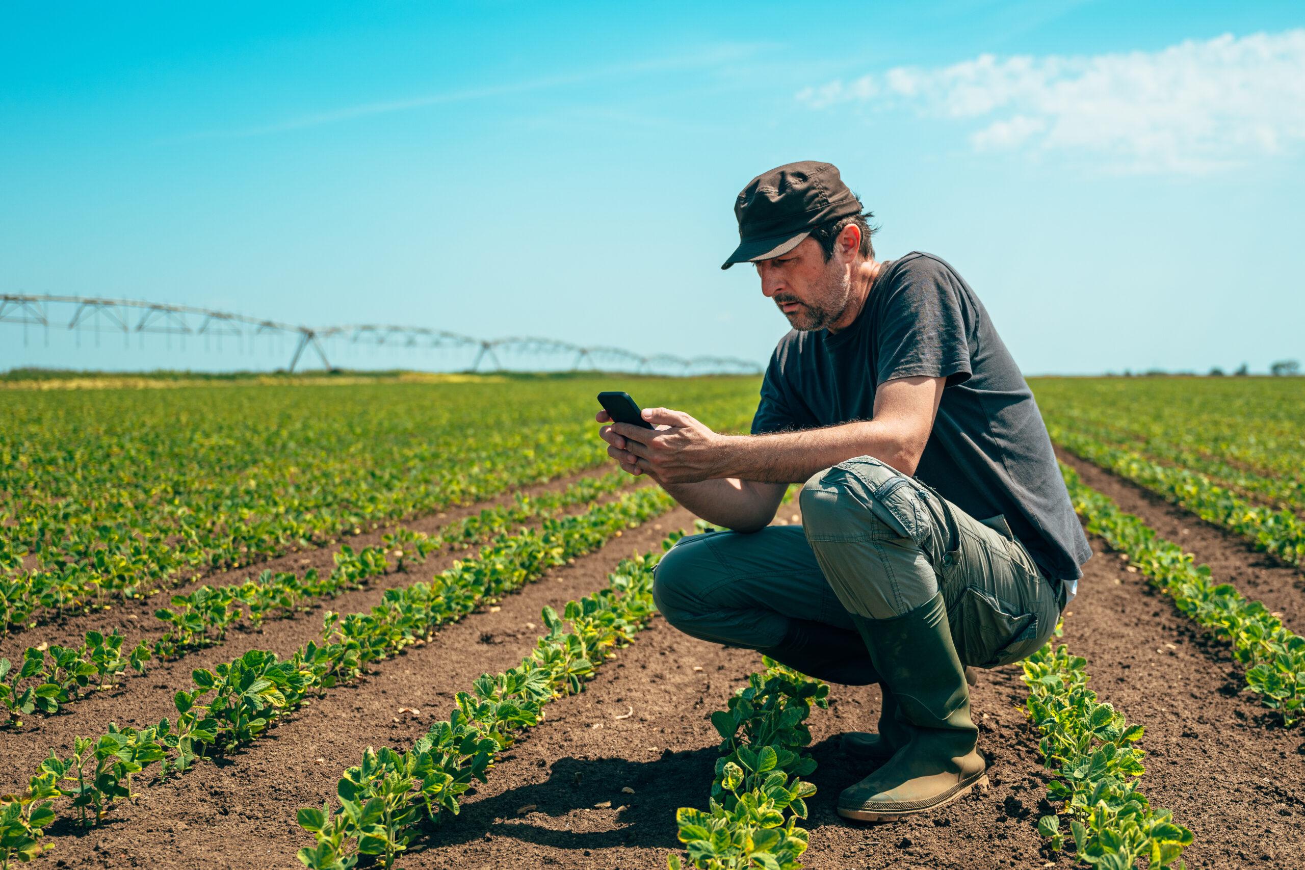 farmer in field crouching down and looking at mobile phone.