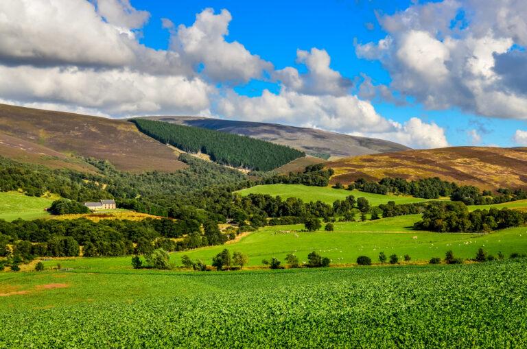Scenic landscape view of Scottish highlands meadows near Cairngnorms NP, United Kingdom